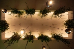 Speckemeyer | Innenarchitektur aus Osnabrück | Besprechungsraum